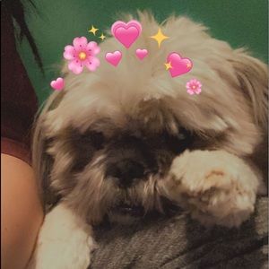 Meet your Posher, Cynthia